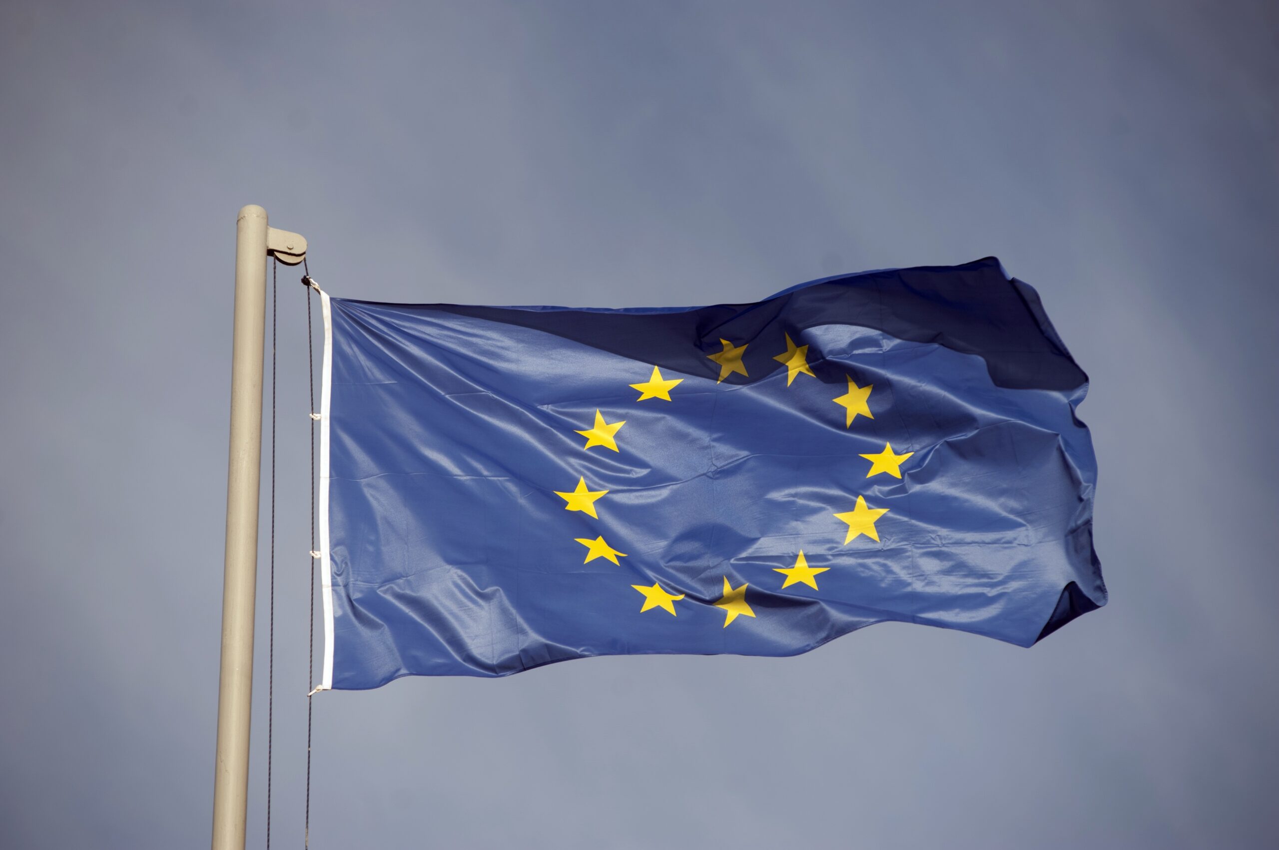European Values in the light of the EYICD 2008