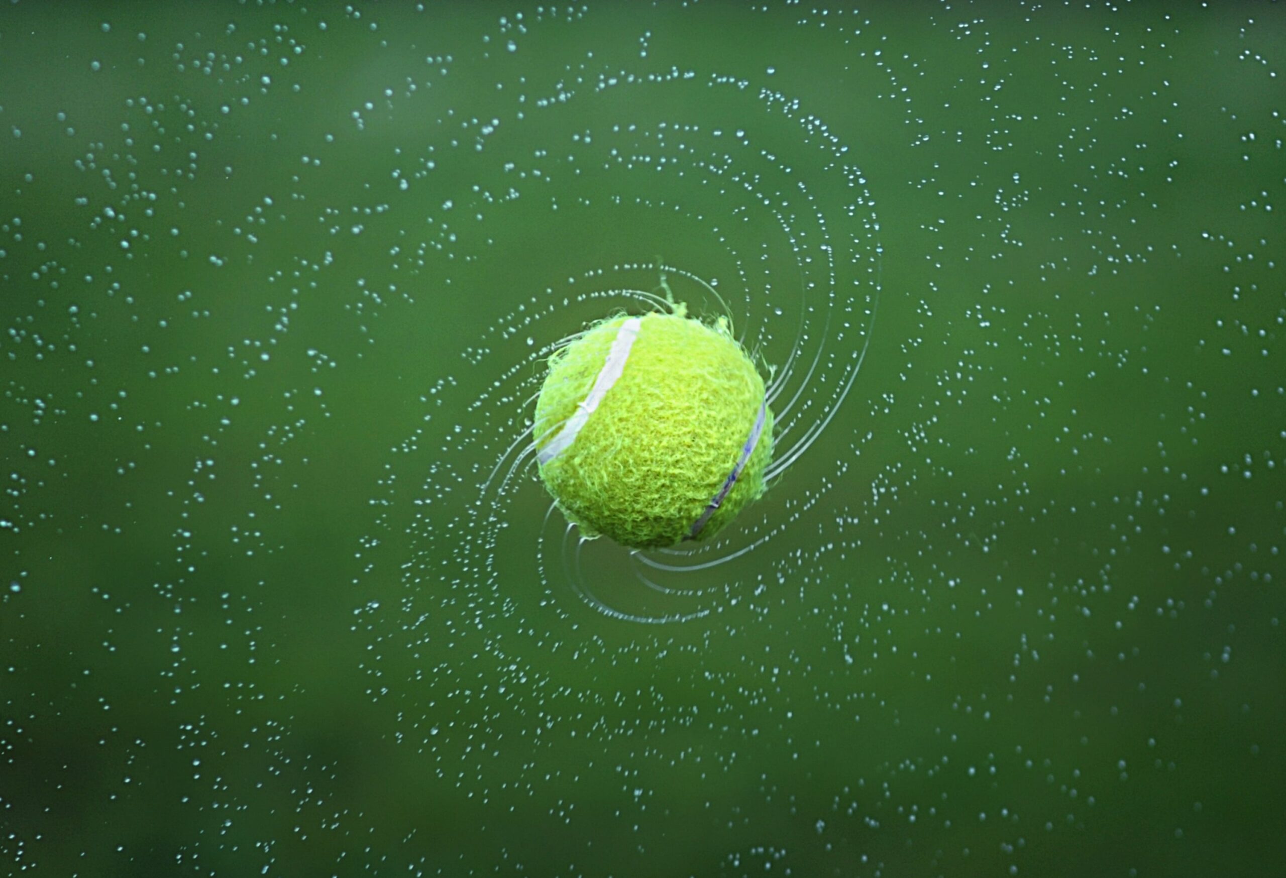 White Paper on sport