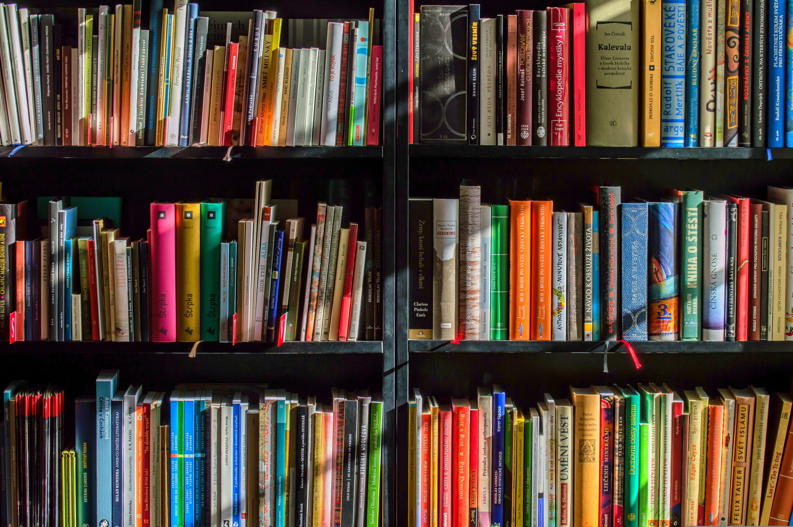 The future of higher education: Challenges and policydirections. The EU perspective