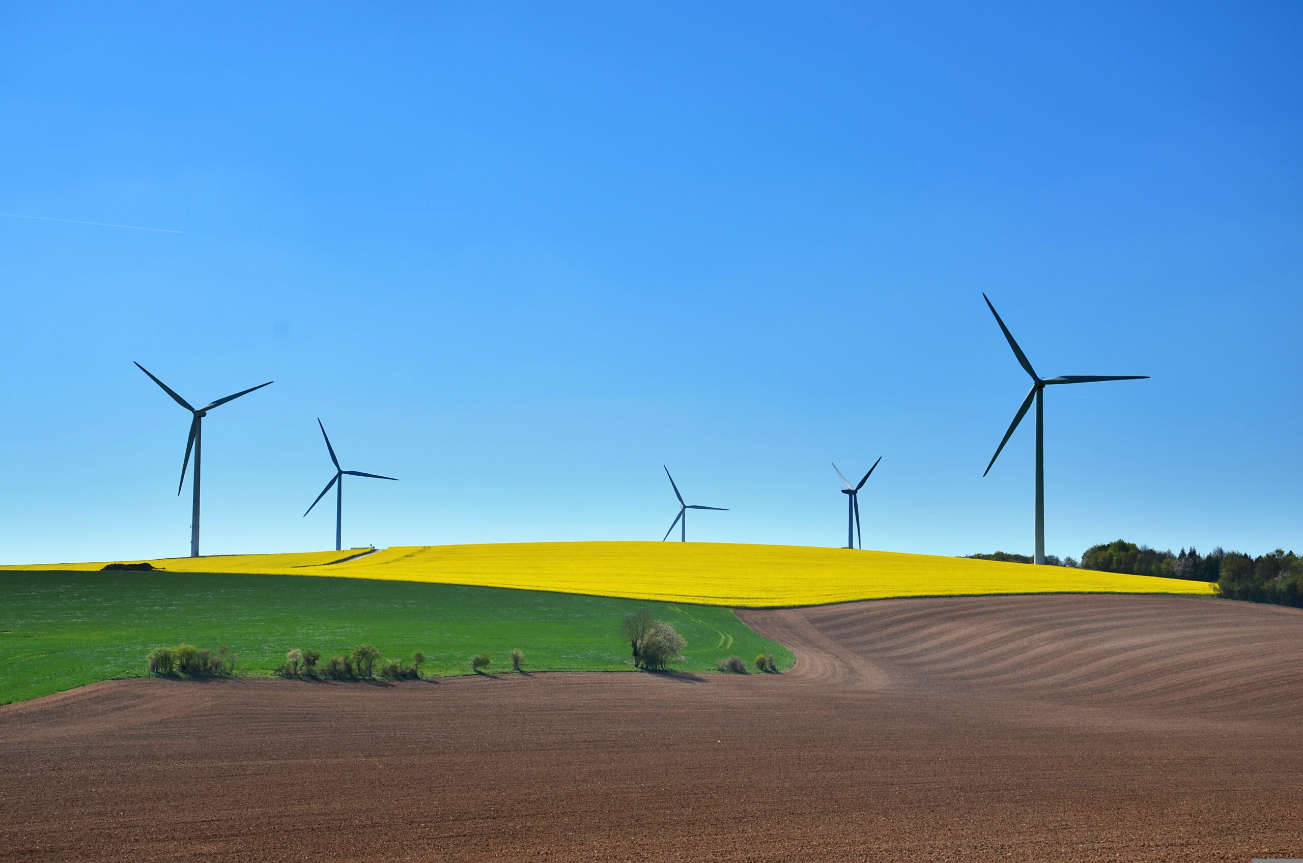The European Union and World Sustainable Development